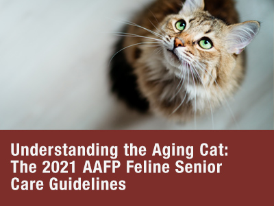 Senior Care Guidelines